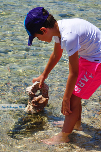 Gramvoussa (Gramvousa) Kreta - De Griekse Gids foto 97 - Foto van https://www.grieksegids.nl/fotos/gramvoussa/normaal/gramvoussa-kreta-097.jpg