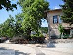 Centrale plein Monodendri - Zagori Epirus - Foto van De Griekse Gids