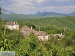 Groene natuur Dilofo - Zagori Epirus - Foto GriechenlandWeb.de