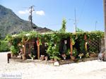 Restaurant in Vikos - Zagori Epirus - Foto van De Griekse Gids