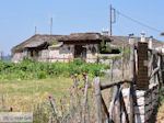 GriechenlandWeb.de Mooi huis in Vikos dorp - Zagori Epirus - Foto GriechenlandWeb.de