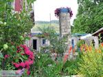 Tuin Hotel Porfyron foto 2 in Ano Pedina - Zagori Epirus - Foto van De Griekse Gids