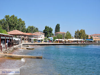 Agria Pilion - Griekenland - De Griekse Gids 001 - Foto van https://www.grieksegids.nl/fotos/griekse-gidsnl/350pixels/agria-pilion-001.jpg