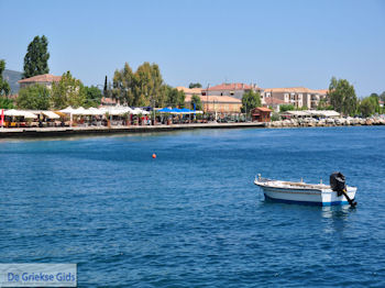 Agria Pilion - Griekenland - De Griekse Gids 002 - Foto van https://www.grieksegids.nl/fotos/griekse-gidsnl/350pixels/agria-pilion-002.jpg