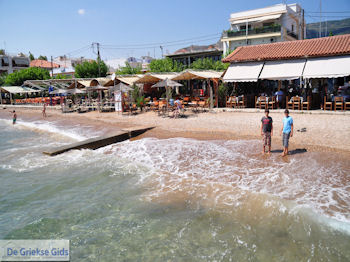 Agria Pilion - Griekenland - De Griekse Gids 003 - Foto van https://www.grieksegids.nl/fotos/griekse-gidsnl/350pixels/agria-pilion-003.jpg