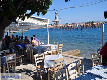 Agria Pilion - Griekenland - De Griekse Gids 006 - Foto van https://www.grieksegids.nl/fotos/griekse-gidsnl/350pixels/agria-pilion-006.jpg