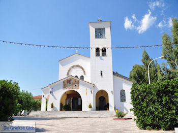 Agria Pilion - Griekenland - De Griekse Gids 007 - Foto van https://www.grieksegids.nl/fotos/griekse-gidsnl/350pixels/agria-pilion-007.jpg