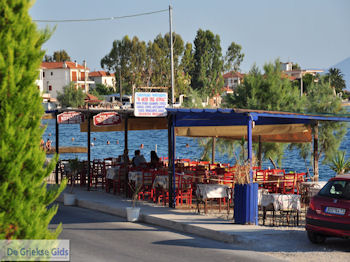 Agria Pilion - Griekenland - De Griekse Gids 008 - Foto van https://www.grieksegids.nl/fotos/griekse-gidsnl/350pixels/agria-pilion-008.jpg