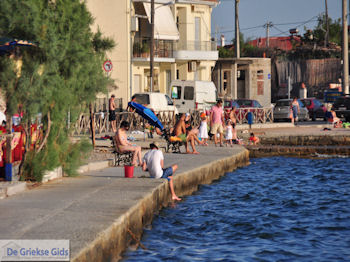 Agria Pilion - Griekenland - De Griekse Gids 009 - Foto van https://www.grieksegids.nl/fotos/griekse-gidsnl/350pixels/agria-pilion-009.jpg