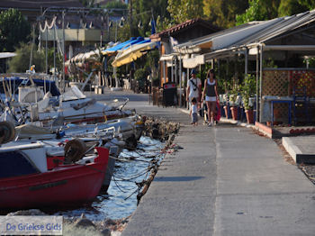 Agria Pilion - Griekenland - De Griekse Gids 011 - Foto van https://www.grieksegids.nl/fotos/griekse-gidsnl/350pixels/agria-pilion-011.jpg
