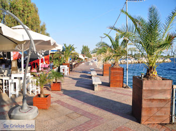 Agria Pilion - Griekenland - De Griekse Gids 014 - Foto van https://www.grieksegids.nl/fotos/griekse-gidsnl/350pixels/agria-pilion-014.jpg