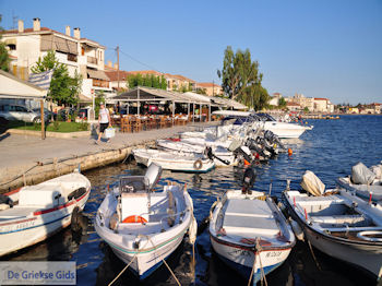 Agria Pilion - Griekenland - De Griekse Gids 017 - Foto van https://www.grieksegids.nl/fotos/griekse-gidsnl/350pixels/agria-pilion-017.jpg