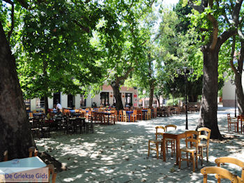 Lafkos Pilion - Griekenland - De Griekse Gids 002 - Foto van https://www.grieksegids.nl/fotos/griekse-gidsnl/350pixels/lafkos-pilion-002.jpg