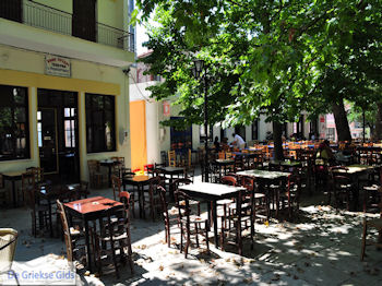 Lafkos Pilion - Griekenland - De Griekse Gids 003 - Foto van https://www.grieksegids.nl/fotos/griekse-gidsnl/350pixels/lafkos-pilion-003.jpg