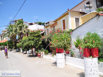 Platania Pilion - Griekenland - De Griekse Gids 004 - Foto van https://www.grieksegids.nl/fotos/griekse-gidsnl/350pixels/platania-pilion-004.jpg