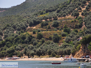 Platania Pilion - Griekenland - De Griekse Gids 012 - Foto van https://www.grieksegids.nl/fotos/griekse-gidsnl/350pixels/platania-pilion-012.jpg