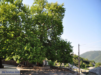 Plein in Ano Pedina foto 1 - Zagori Epirus - Foto van https://www.grieksegids.nl/fotos/griekse-gidsnl/350pixels/zagoria-epirus-138.jpg