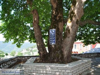 Ano Pedina foto4 - Zagori Epirus - Foto van https://www.grieksegids.nl/fotos/griekse-gidsnl/350pixels/zagoria-epirus-163.jpg