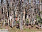 Park Arnaia | Athos gebied Chalkidiki | Griekenland - Foto van De Griekse Gids