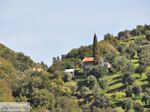 De Heilige Berg Athos foto 6 | Athos gebied Chalkidiki | Griekenland - Foto van De Griekse Gids