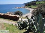 Mylopotamos | De Heilige Berg Athos foto 3 | Athos gebied Chalkidiki | Griekenland - Foto van De Griekse Gids