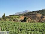 Dit is de Heilige Berg Athos foto 2 | Athos gebied Chalkidiki | Griekenland - Foto van De Griekse Gids