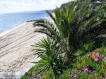 Mooie stranden nabij Eagles Palace Ouranoupolis foto 7 | Athos gebied Chalkidiki | Griekenland - Foto van De Griekse Gids