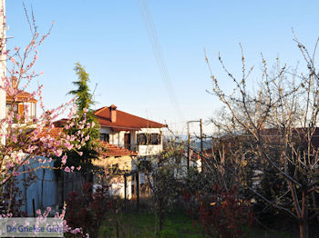 Arnaia (Arnea) foto 2 |Athos gebied Chalkidiki | Griekenland - Foto van https://www.grieksegids.nl/fotos/griekse-gidsnl/chalkidiki350/athos-gebied-chalkidiki-023.jpg