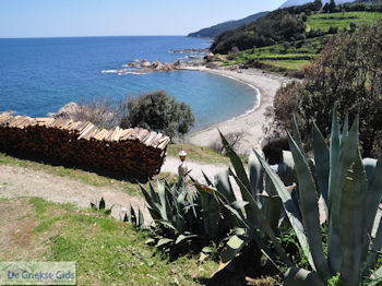 Mylopotamos | De Heilige Berg Athos foto 3 | Athos gebied Chalkidiki | Griekenland - Foto van https://www.grieksegids.nl/fotos/griekse-gidsnl/chalkidiki350/athos-gebied-chalkidiki-215.jpg