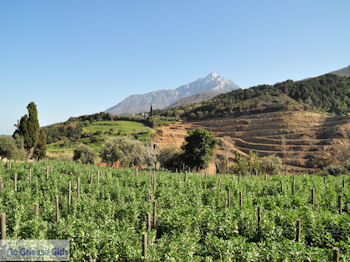 Dit is de Heilige Berg Athos foto 2 | Athos gebied Chalkidiki | Griekenland - Foto van https://www.grieksegids.nl/fotos/griekse-gidsnl/chalkidiki350/athos-gebied-chalkidiki-274.jpg