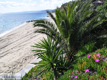 Mooie stranden nabij Eagles Palace Ouranoupolis foto 7 | Athos gebied Chalkidiki | Griekenland - Foto van https://www.grieksegids.nl/fotos/griekse-gidsnl/chalkidiki350/athos-gebied-chalkidiki-374.jpg