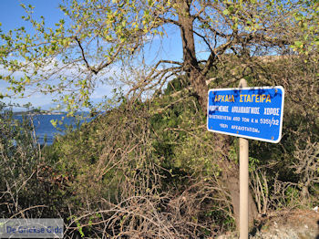 Oud Stageira - Olympiada Chalkidki | Athos gebied Chalkidiki | Griekenland - Foto van https://www.grieksegids.nl/fotos/griekse-gidsnl/chalkidiki350/athos-gebied-chalkidiki-406.jpg