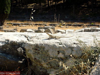Asklepieion Kos - Griekse Gids Foto 9 - Foto van https://www.grieksegids.nl/fotos/grieksegidsinfo-fotomap/Kos-Foto/asklipieion-kos-17-1024px-350px.jpg