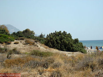 Kardamena Kos - Griekse Gids foto 5 - Foto van https://www.grieksegids.nl/fotos/grieksegidsinfo-fotomap/Kos-Foto/kardamena-kos-13-1024px-350px.jpg