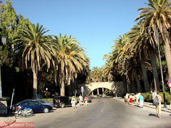 Kos stad - Griekse Gids foto 1 - Foto van https://www.grieksegids.nl/fotos/grieksegidsinfo-fotomap/Kos-Foto/kos-stad-1-1024px-350px.jpg