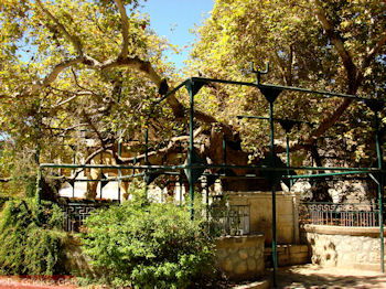 Kos stad - Griekse Gids foto 3 - Foto van https://www.grieksegids.nl/fotos/grieksegidsinfo-fotomap/Kos-Foto/kos-stad-11-1024px-350px.jpg