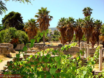 Kos stad - Griekse Gids foto 5 - Foto van https://www.grieksegids.nl/fotos/grieksegidsinfo-fotomap/Kos-Foto/kos-stad-13-1024px-350px.jpg