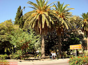 Kos stad - Griekse Gids foto 27 - Foto van https://www.grieksegids.nl/fotos/grieksegidsinfo-fotomap/Kos-Foto/kos-stad-33-1024px-350px.jpg