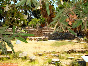 Kos stad - Griekse Gids foto 30 - Foto van https://www.grieksegids.nl/fotos/grieksegidsinfo-fotomap/Kos-Foto/kos-stad-36-1024px-350px.jpg