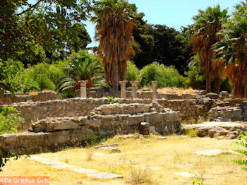 Kos stad - Griekse Gids foto 32 - Foto van https://www.grieksegids.nl/fotos/grieksegidsinfo-fotomap/Kos-Foto/kos-stad-38-1024px-350px.jpg