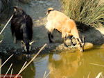 GriechenlandWeb Thermen - Therma Kos - Griekse Gids foto 25 - Foto GriechenlandWeb.de