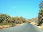 Foto Lassithi Kreta Kreta GriechenlandWeb - Foto GriechenlandWeb.de