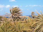 Foto Lassithi Kreta Kreta GriechenlandWeb - Foto GriechenlandWeb.de