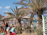 Foto Lassithi Kreta Kreta GriechenlandWeb - Foto GriechenlandWeb.de