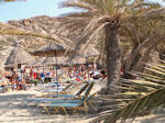 Foto Lassithi Kreta Kreta GriechenlandWeb - Foto GriechenlandWeb.de