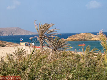 Vai Kreta - Foto 3 - Foto van https://www.grieksegids.nl/fotos/grieksegidsinfo-fotomap/Vai-Kreta/Vai-350/vai-350px-03.jpg