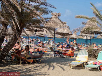 Vai Kreta - Foto 9 - Foto van https://www.grieksegids.nl/fotos/grieksegidsinfo-fotomap/Vai-Kreta/Vai-350/vai-350px-09.jpg
