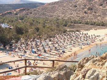 Vai Kreta - Foto 13 - Foto van https://www.grieksegids.nl/fotos/grieksegidsinfo-fotomap/Vai-Kreta/Vai-350/vai-350px-13.jpg
