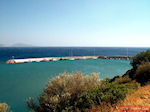 Agia Galini Kreta - GriechenlandWeb.de GR12 - Foto GriechenlandWeb.de