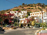 Agia Galini Kreta - GriechenlandWeb.de GR20 - Foto GriechenlandWeb.de